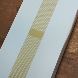 Gold Mesh Watch Band